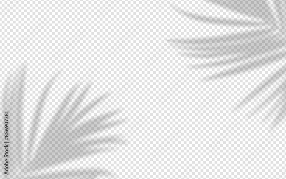 Naklejka premium Shadow overlay from a palm tree branch isolated on a transparent background.