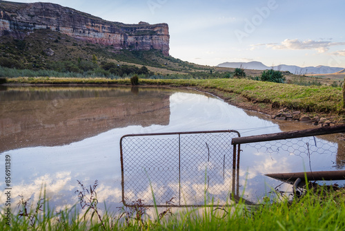 view from the pond