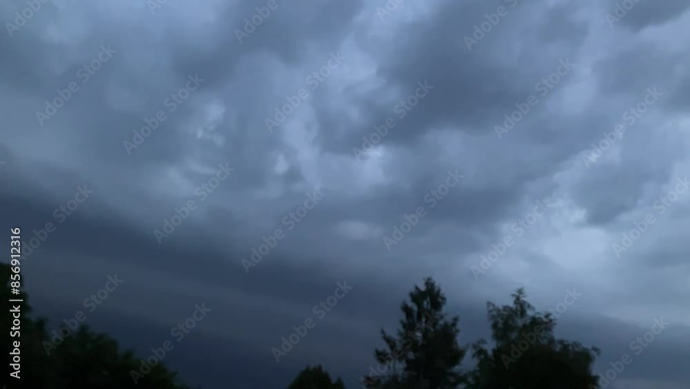 Stormy sky with dark rainy clouds and constant lightnings and flashes during storm over horizon with trees - real time. Topics: dangerously weather, meteorology, climate, season, summer, nature Stormy sky with dark rainy clouds and constant lightnings and flashes during storm over horizon with trees - real time. Topics: dangerously weather, meteorology, climate, season, summer, nature