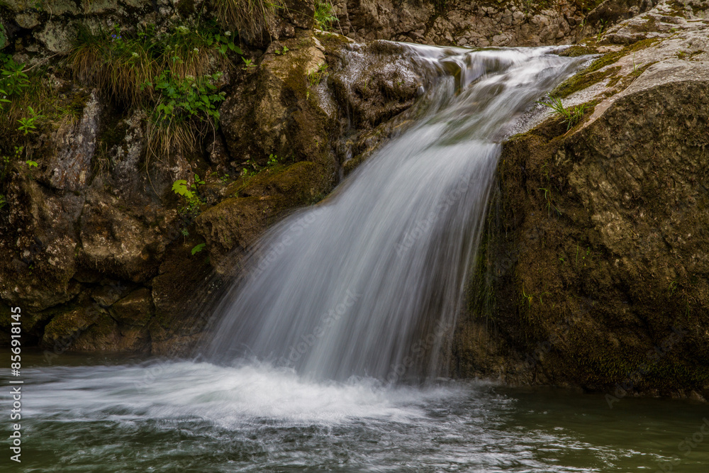 Obraz premium Woda płynąca w lesie 