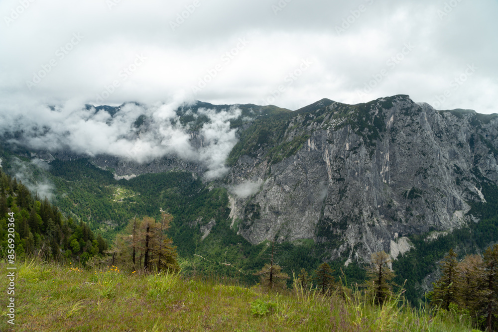 Obraz premium Blick vom Loser auf das tote Gebirge sowie das Ausseerland und den Dachsteingletscher, Salzkammergut, Streiermark, Österreich im Sommer