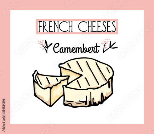 Vector card with a traditional French cow's milk soft cheese Camembert. Freehand ink drawing, graphic style. Beautiful food design elements.