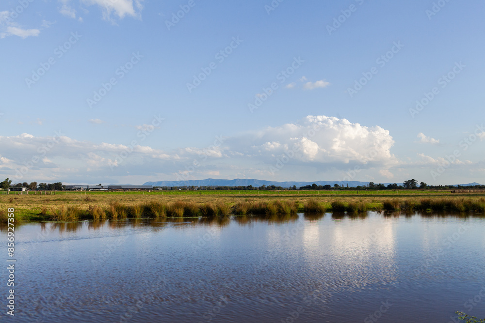 Duckling on dam in flat farmland with hills on horizon Duckling on dam in flat farmland with hills on horizon