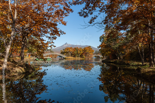 秋の大沼国定公園