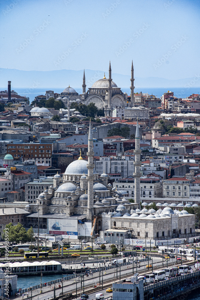 Obraz premium Istanbul x Mosque II