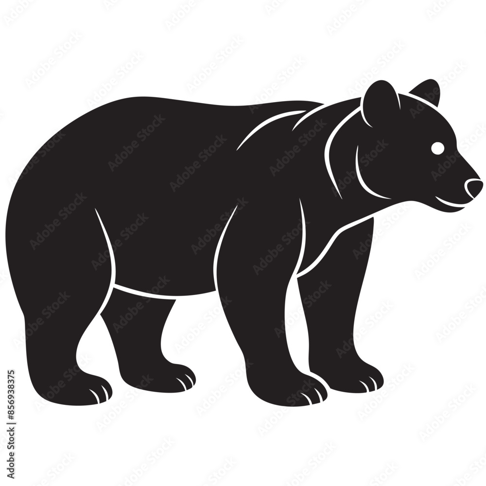 illustration of a bear illustration of a bear