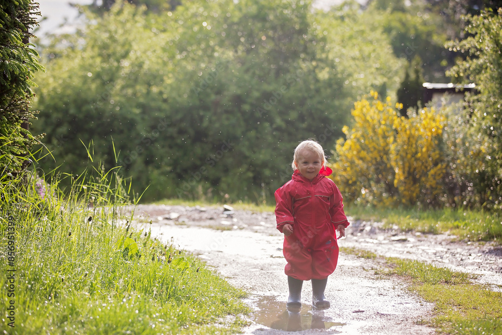 Sweet little toddler boy, blond child in red raincoat and blue boots, playing in the rain in muddy puddles, jumping and laughing Sweet little toddler boy, blond child in red raincoat and blue boots, playing in the rain in muddy puddles, jumping and laughing