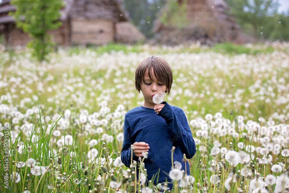 Sweet boy, blowing on dandelion beautiful field with many flowers Sweet boy, blowing on dandelion beautiful field with many flowers