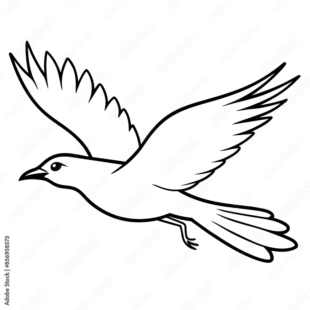 Obraz premium dove in flight