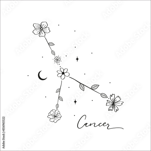 Cancer constellation with Hand drawn doodle flowers, leaves, florals and stars. Vector art, graphic illustration clipart