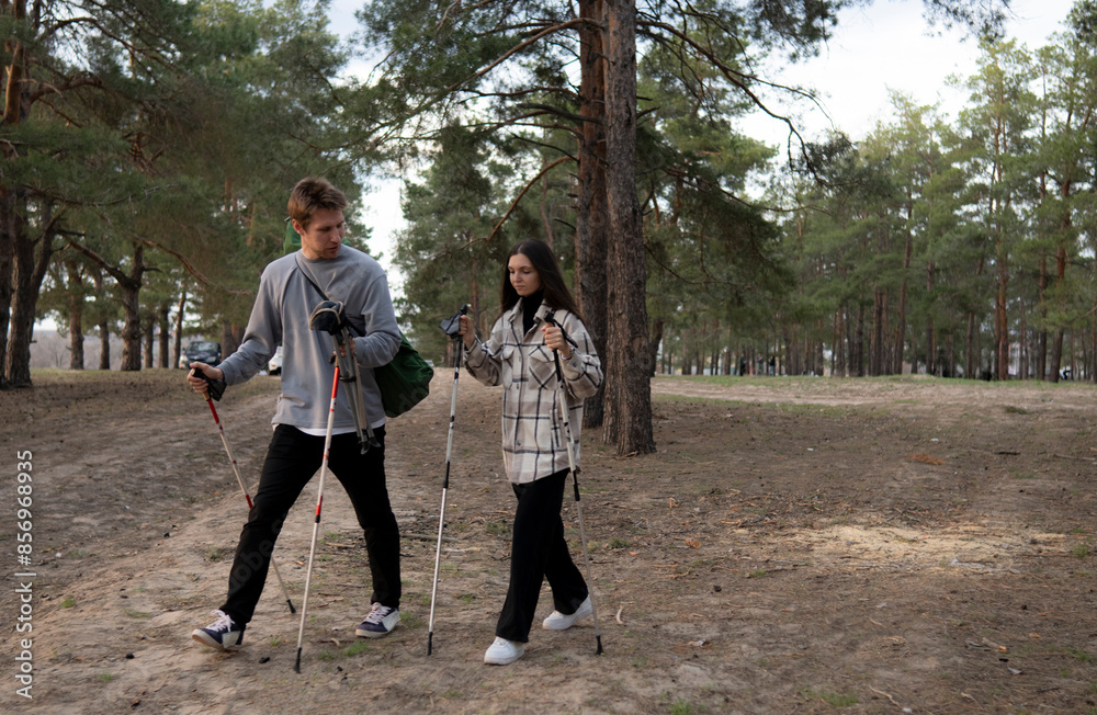 happy couple hikes through a pine forest on a sunny day. The woman is smiling and raising her hiking poles in the air, while the man walks beside her with his poles happy couple hikes through a pine forest on a sunny day. The woman is smiling and raising her hiking poles in the air, while the man walks beside her with his poles