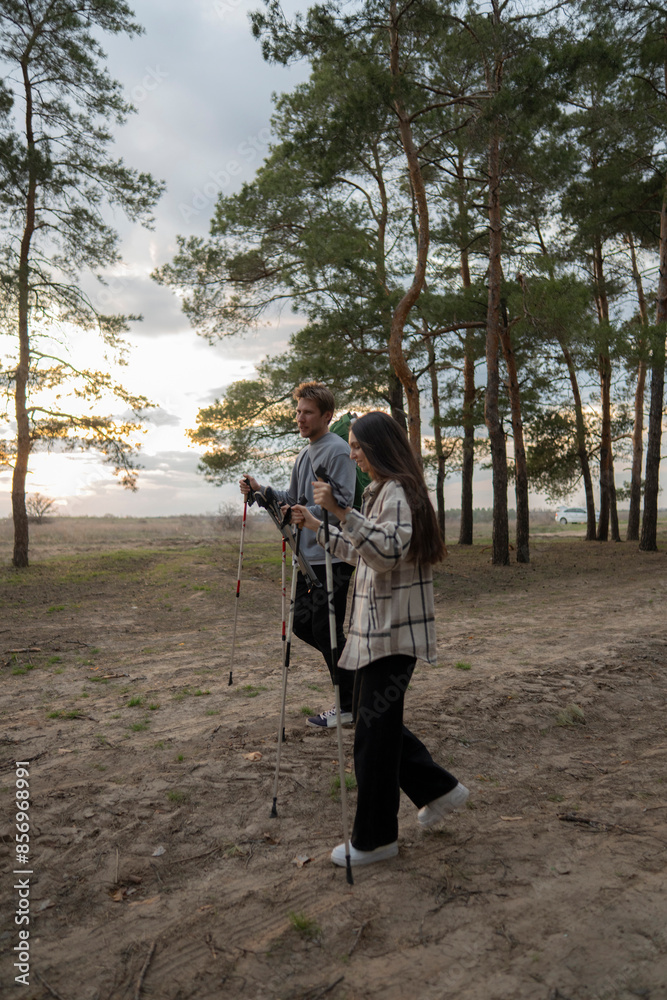 happy couple hikes through a pine forest on a sunny day. The woman is smiling and raising her hiking poles in the air, while the man walks beside her with his poles happy couple hikes through a pine forest on a sunny day. The woman is smiling and raising her hiking poles in the air, while the man walks beside her with his poles