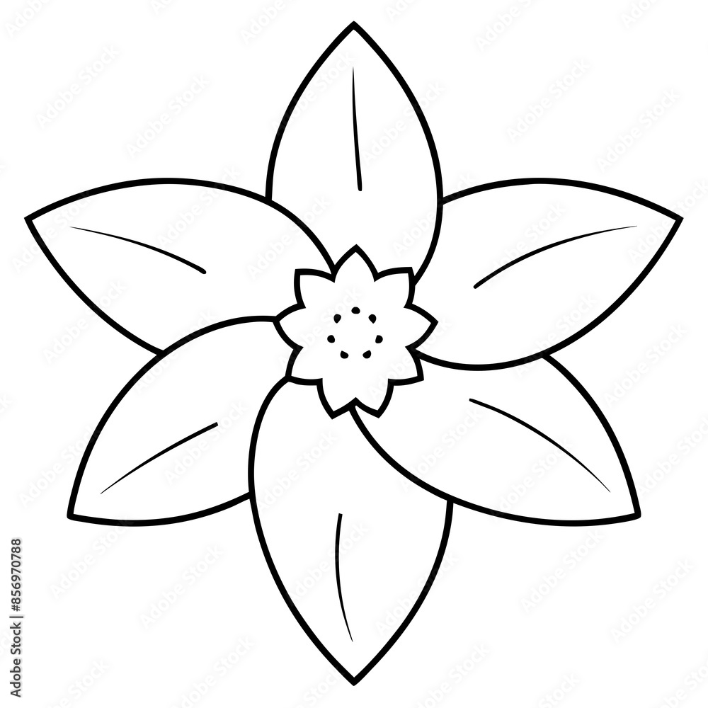 daffodil line art vector illustration daffodil line art vector illustration