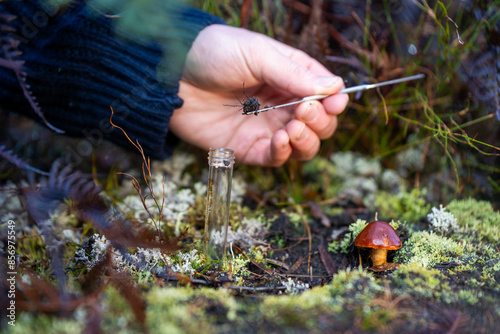 Εκτύπωση καμβά environmental scientist taking a sample in the forest looking at fungi and soil
