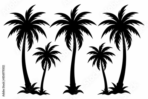 Palm tree Silhouette, set of black silhouettes of a palm tree, silhouette of a palm tree isolated
