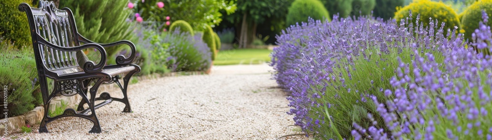 Obraz premium Closeup of a provincial garden with blooming lavender plants, meandering gravel pathways, and a vintage wrought iron bench