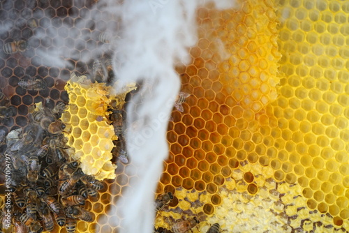 Honey, bees and beekeepers smoking equipment with smoke and fire coming out of the nozzle