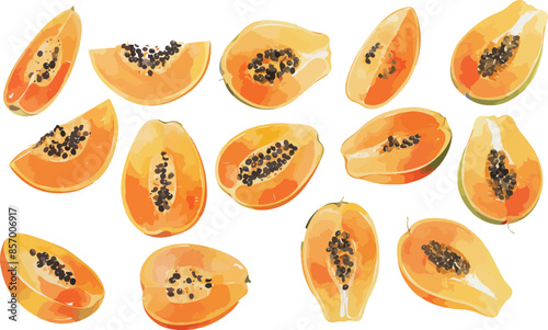 papaya watercolor clipart	