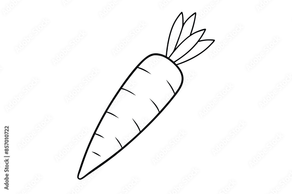 Carrot line art vector illustration Carrot line art vector illustration