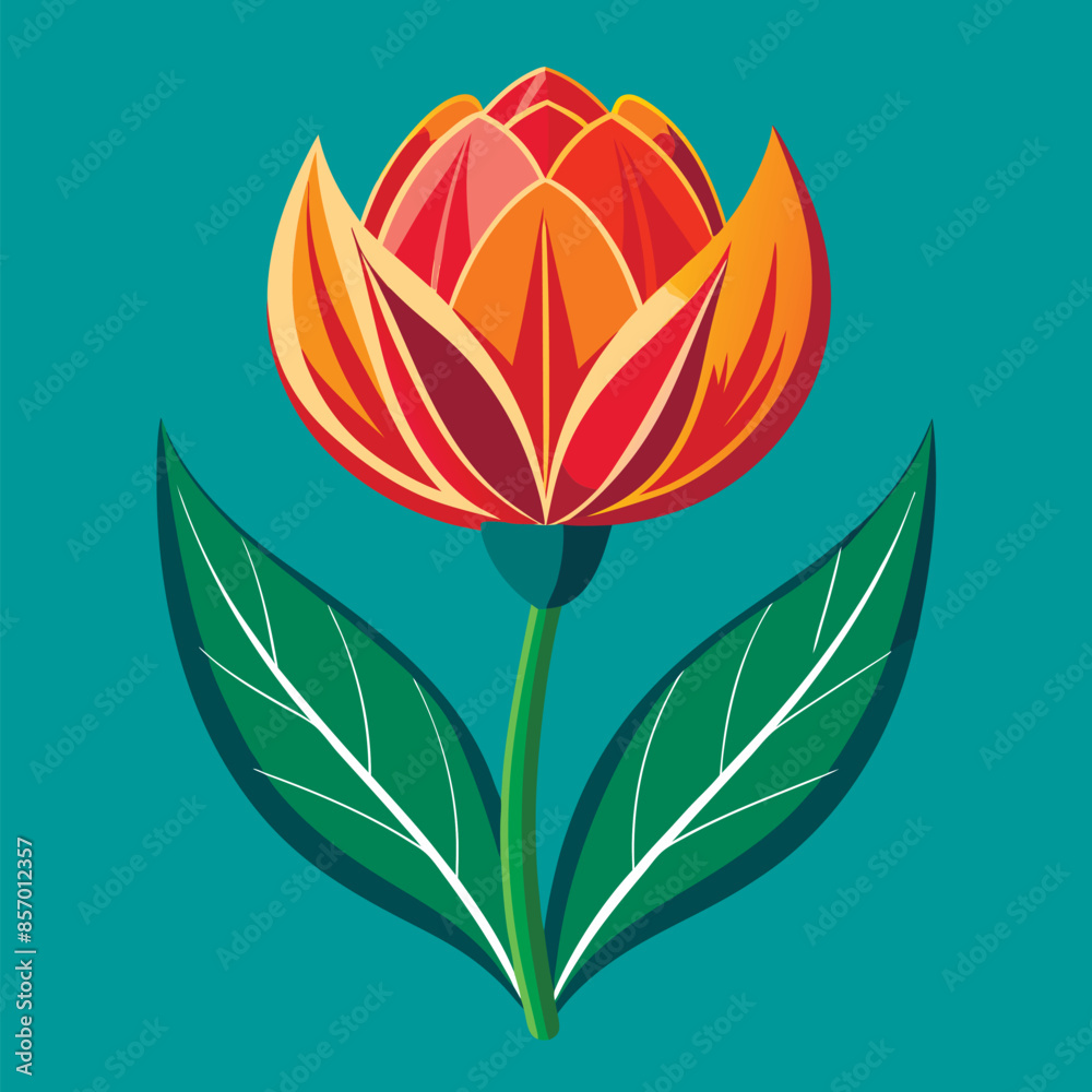 vector illustration of tulip