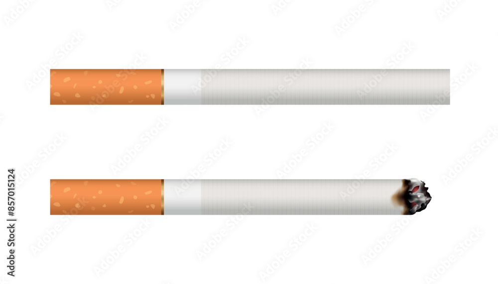 Vector realistic cigarette illustration isolated on white background Vector realistic cigarette illustration isolated on white background