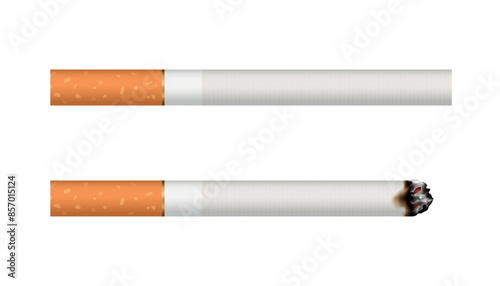 Vector realistic cigarette illustration isolated on white background