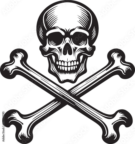 Skull with crossed bones vector image