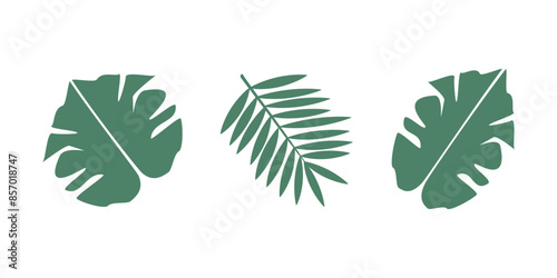 Set of tropical palm leaves - vector flat illustration for stickers, design, cards. photo