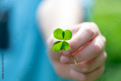 a child's hand holds a plucked green four-leaf clover, a symbol of good luck