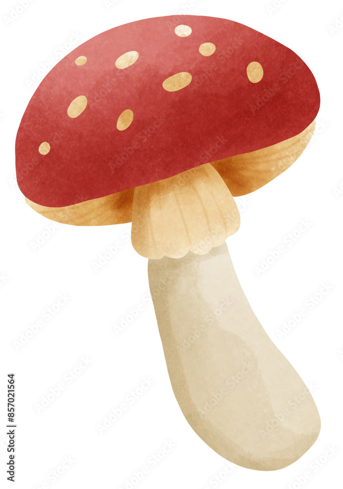 Mushroom Mushroom