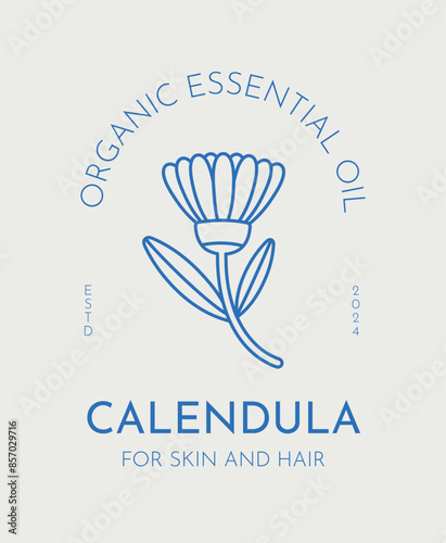 Hand drawn vector calendula illustration. Line art, retro. Plants and herbs for cosmetics. Logo template.