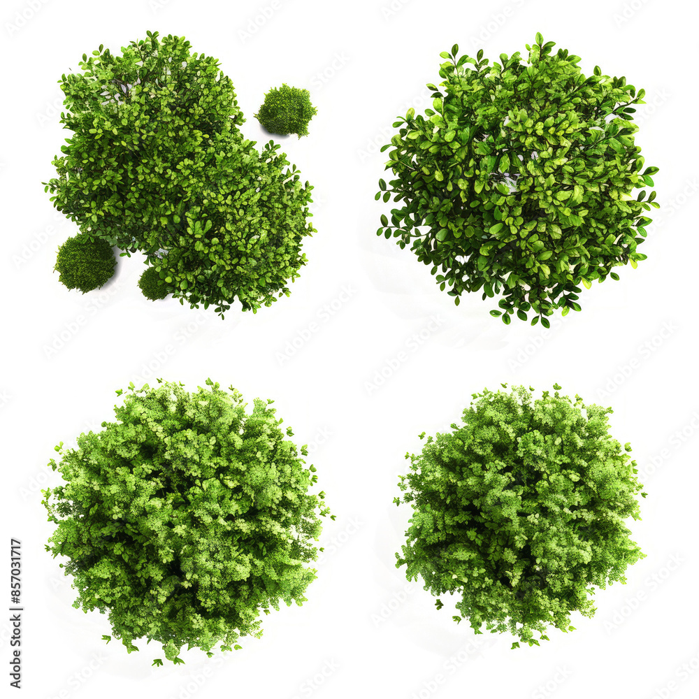 series of silhouettes of green bushes, figures on a white background. series of silhouettes of green bushes, figures on a white background.
