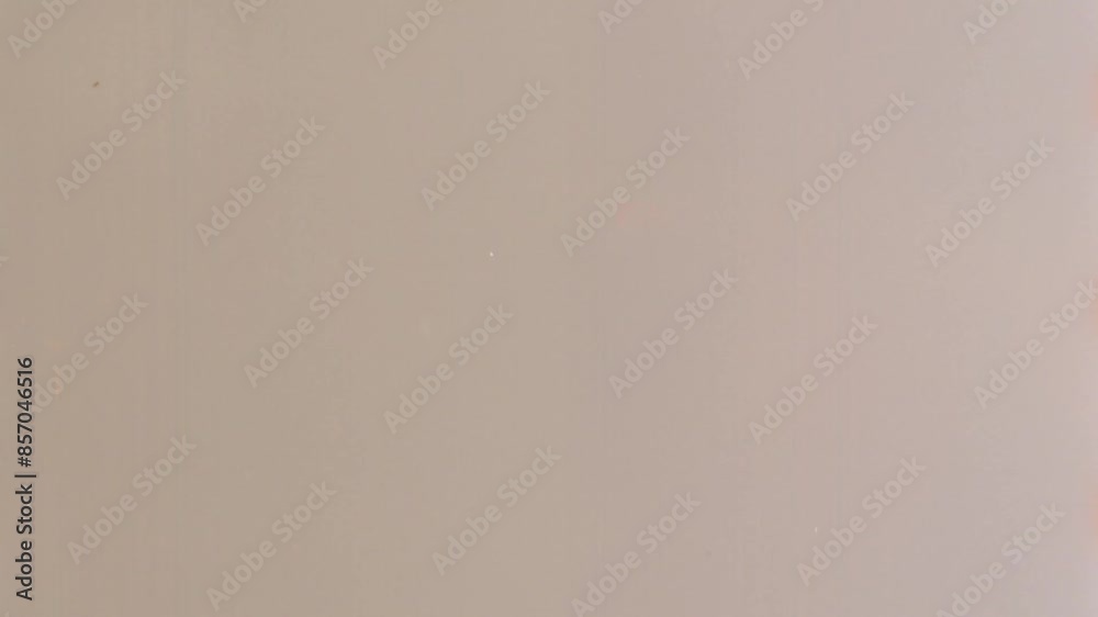 film textures burns - texture - mp4 - Vintage Film Essentials: Textures ...