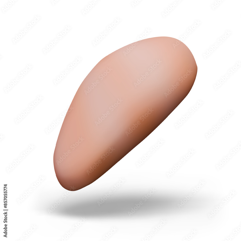 Chicken fillet on white background. Piece of boneless turkey. Raw white poultry meat Chicken fillet on white background. Piece of boneless turkey. Raw white poultry meat