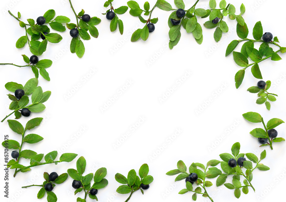 Ripe berries wild bilberries on branches with green leaves on a white background with space for text. Top view, flat lay Ripe berries wild bilberries on branches with green leaves on a white background with space for text. Top view, flat lay