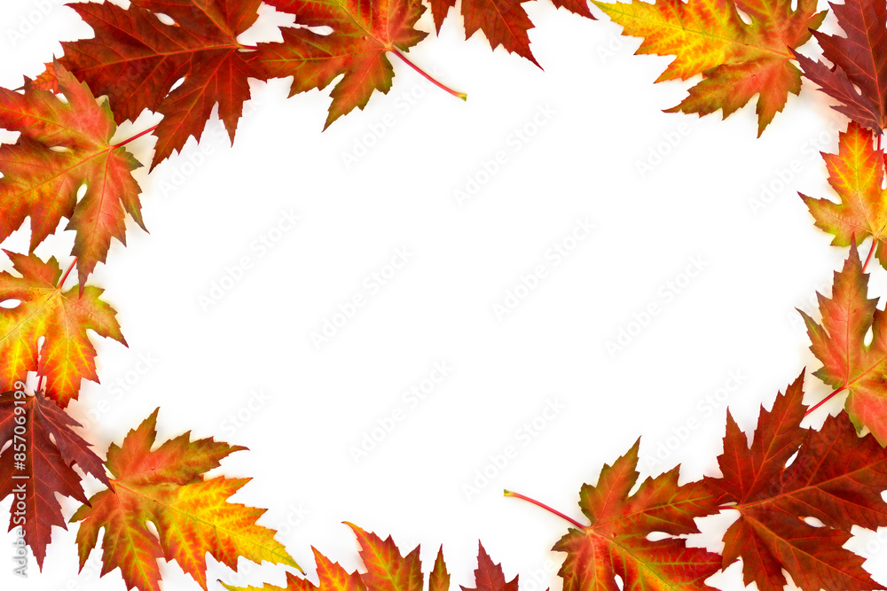 Autumnal maple leaves on a white background with space for text. Top view, flat lay Autumnal maple leaves on a white background with space for text. Top view, flat lay