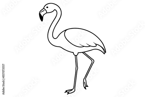 flamingo line art vector, tropical bird flamingo line drawing