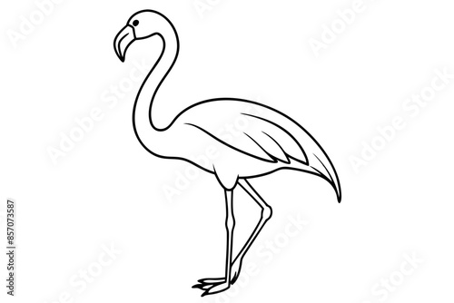 flamingo line art vector, tropical bird flamingo line drawing