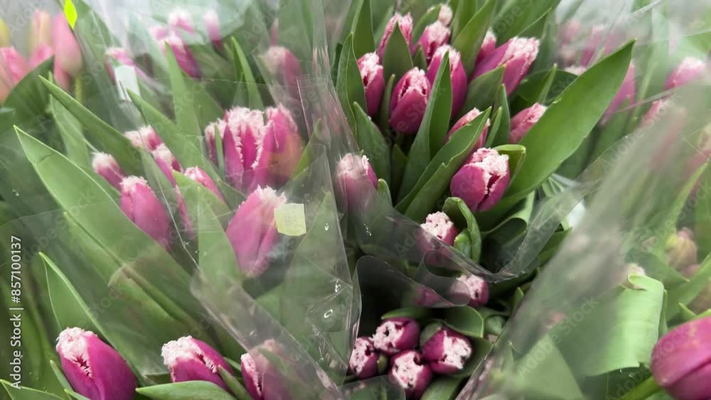 Bouquets of tulips in cellophane transparent packaging are sold at the fair Bouquets of tulips in cellophane transparent packaging are sold at the fair