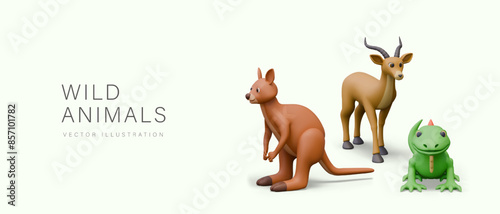 Photography Wild animals