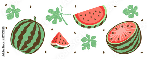 Watermelon clip art. Whole berry, slice, half, seeds and leaves isolated on white. Colored icon set in simple flat design. Vector illustration.