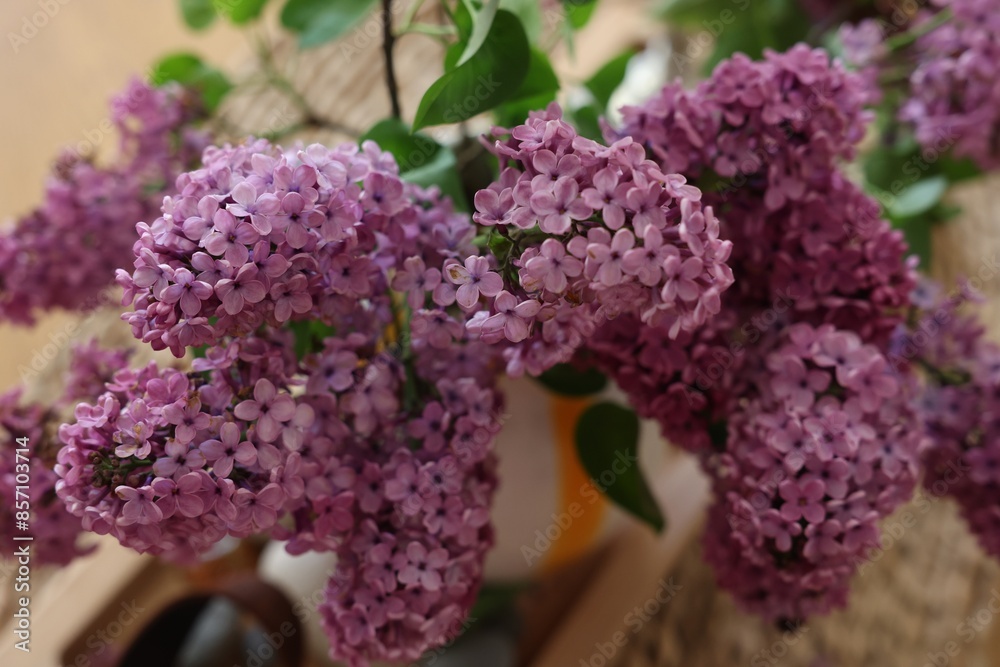 Beautiful lilac flowers in vase on table indoors, closeup Beautiful lilac flowers in vase on table indoors, closeup