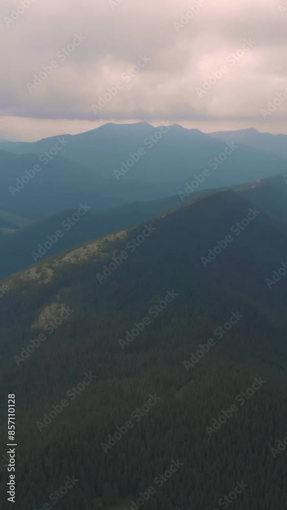 Fantastic view of mountain during summer Fantastic view of mountain during summer