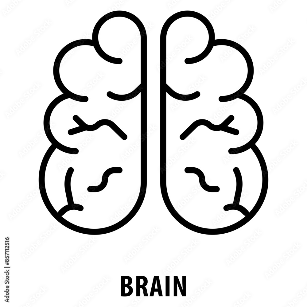 Brain Icon simple and easy to edit for your design elements Brain Icon simple and easy to edit for your design elements