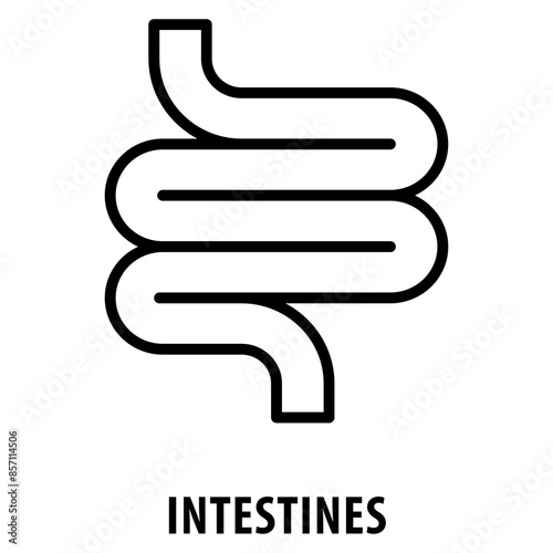 Intestines Icon simple and easy to edit for your design elements