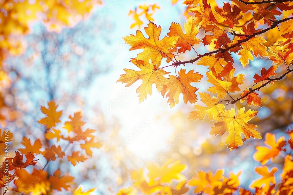 Autumn landscape. Autumn oak leafes, very shallow focus. Autumn landscape. Autumn oak leafes, very shallow focus.