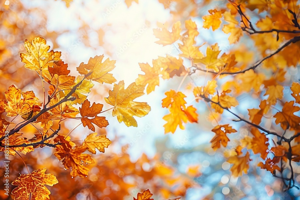 Autumn landscape. Autumn oak leafes, very shallow focus. Autumn landscape. Autumn oak leafes, very shallow focus.