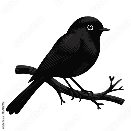 a black bird with a black beak stands on a branch with a flower in the middle.