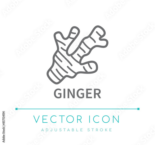 Ginger Line Icon
