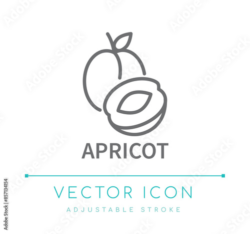 Apricot Line Icon